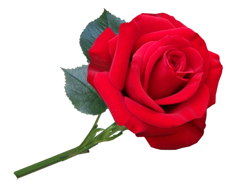 হিবা এগ্রো ফার্ম