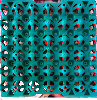 ডিমের ট্রে